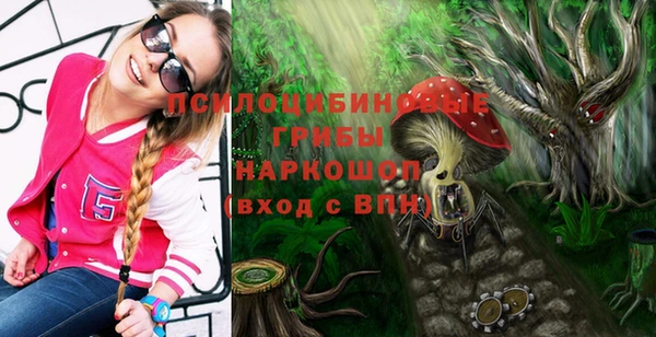 синтетический гашиш Алексеевка