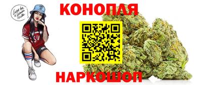 прущие грибы Обнинск