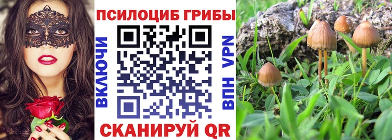 Псилоцибиновые грибы прущие грибы наркотики Туймазы